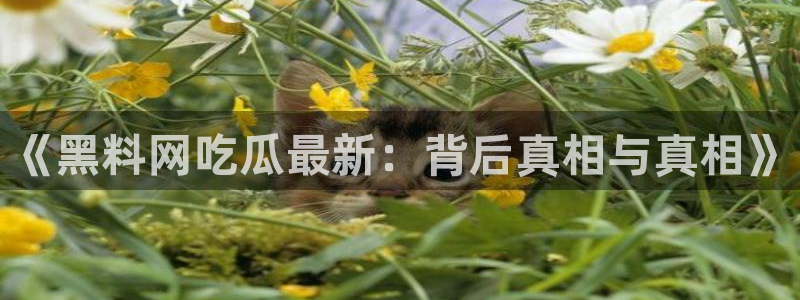 知名名人丑闻新瓜曝光