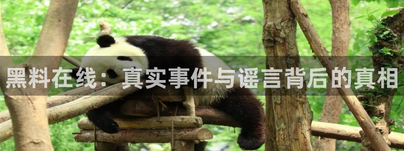 知名名人丑闻新瓜曝光